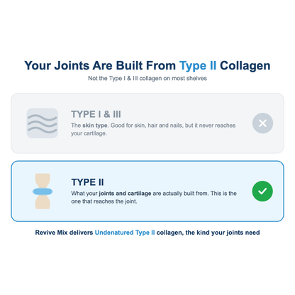 Revive Mix — Type 1,2,3 Collagen, MSM, Hyaluronic Acid + FREE Packet