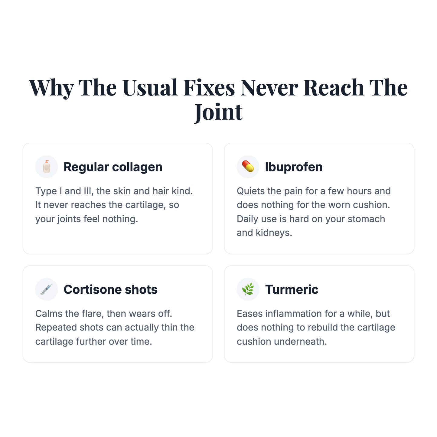 Revive Mix — Type 1,2,3 Collagen, MSM, Hyaluronic Acid + FREE Packet