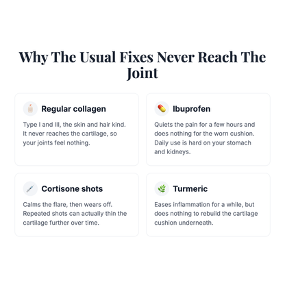 Revive Mix — Type 1,2,3 Collagen, MSM, Hyaluronic Acid + FREE Packet